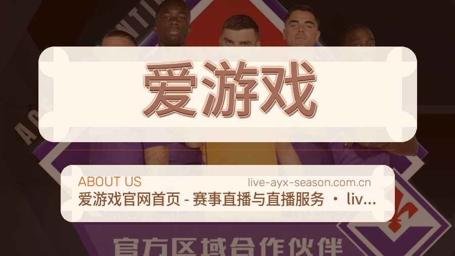 爱游戏官方平台介绍图片